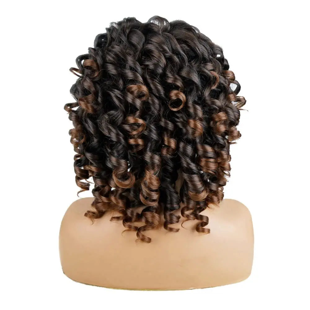 Ombre Brown Curly Wigs