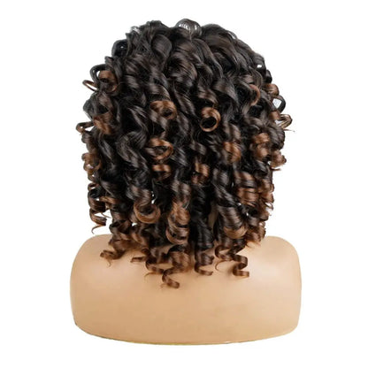 Ombre Brown Curly Wigs