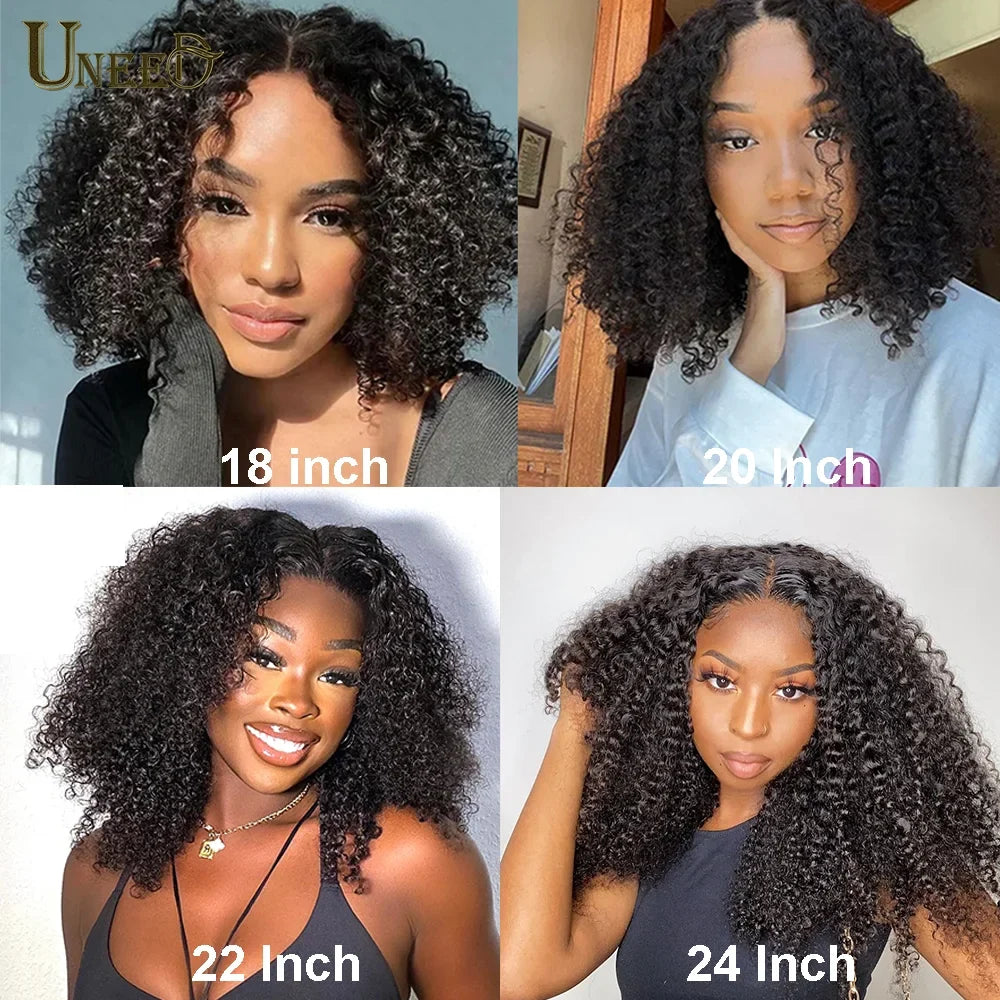 Kinky Curly Wig