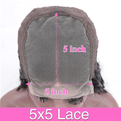Glueless Wear and Go Human Hair Wig