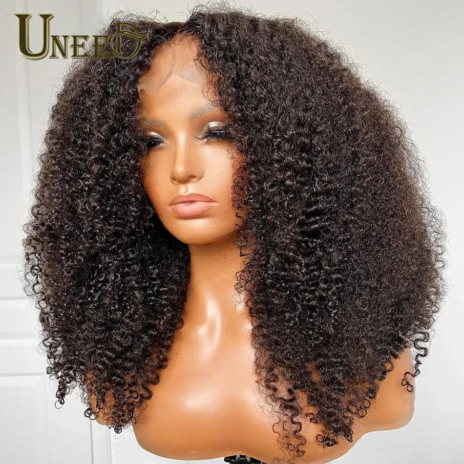 Kinky Curly Wig