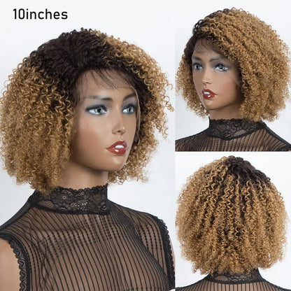 Ombre Brown Curly Wigs