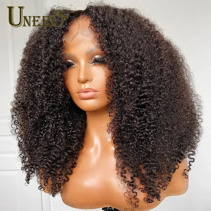 Kinky Curly Wig