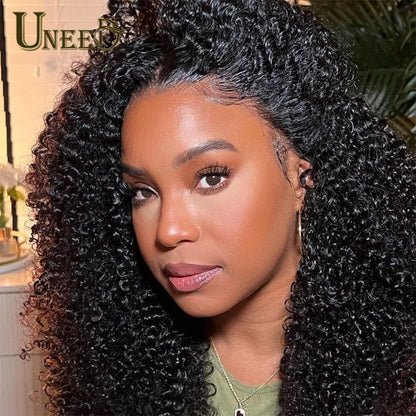 Kinky Curly Wig