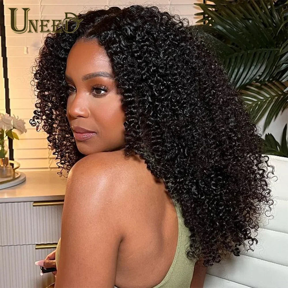 Kinky Curly Wig