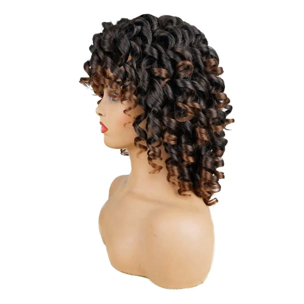Ombre Brown Curly Wigs