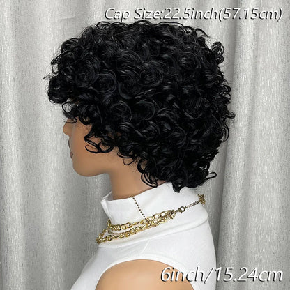 Kinky Curly Human Hair Wig Short Bob