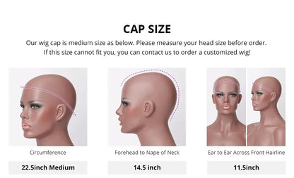 Glueless Wigs Human Hair