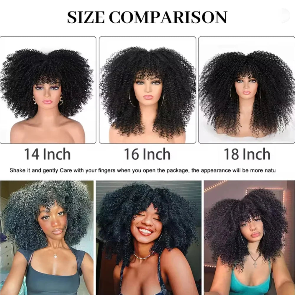 Afro Kinky Curly Wig
