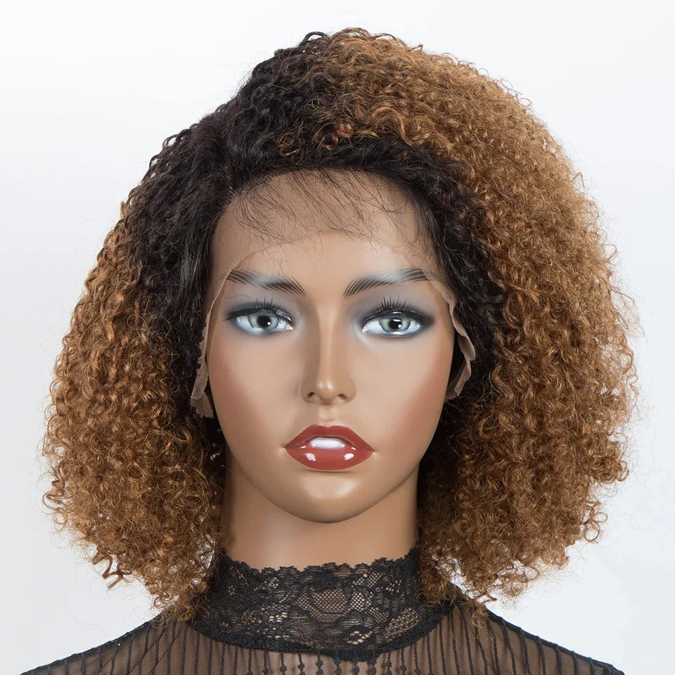 Ombre Brown Curly Wigs