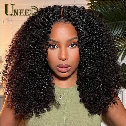 Kinky Curly Wig