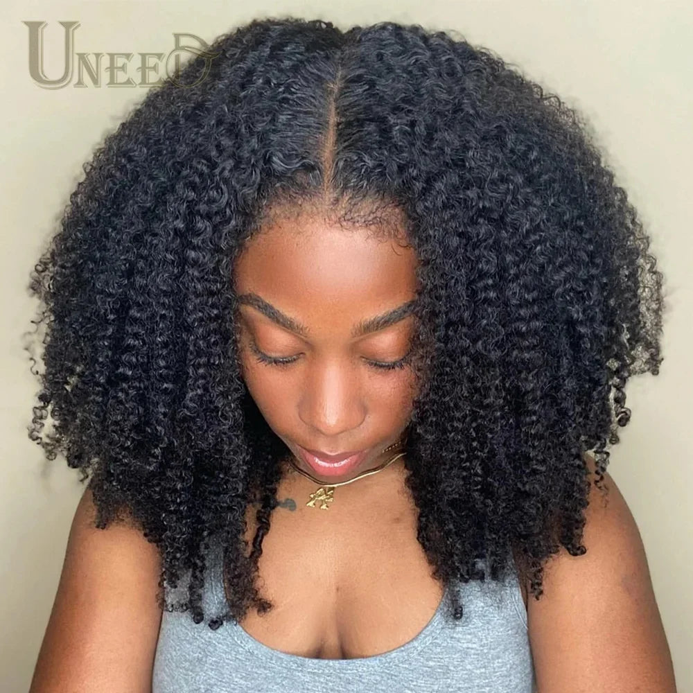 Kinky Curly Wig