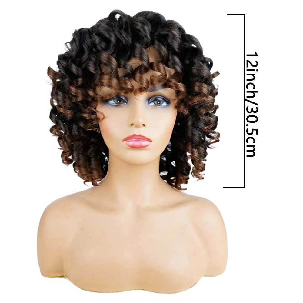 Ombre Brown Curly Wigs